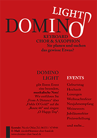 Domino Light Flyer